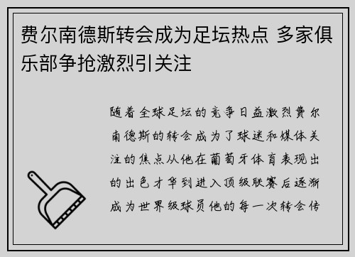 费尔南德斯转会成为足坛热点 多家俱乐部争抢激烈引关注 费尔南德斯转会成为足坛热点 多家俱乐部争抢激烈引关注